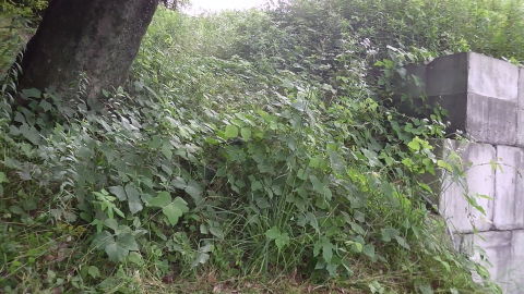 a0059812_12303904.jpg