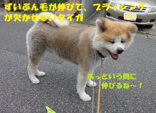 f0121712_17041081.jpg