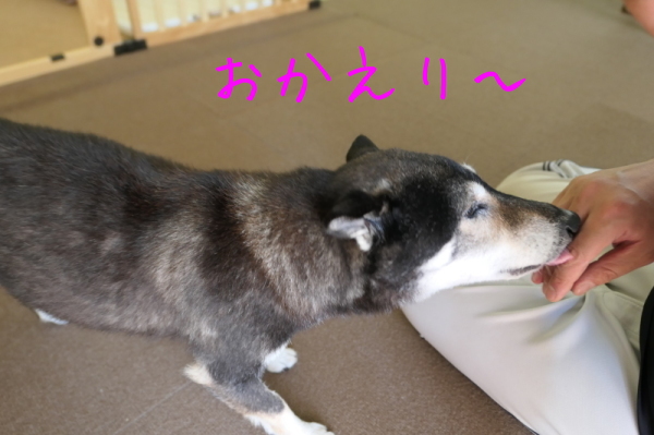 f0369014_14071496.jpg