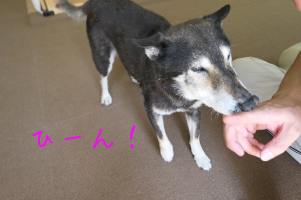 f0369014_14075812.jpg