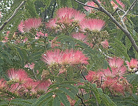 c0190915_19155973.jpg