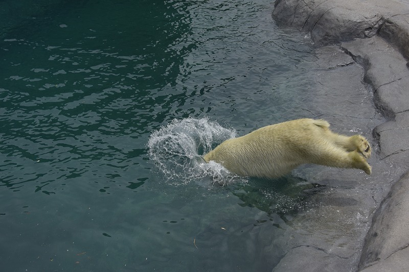 動物園_f0373120_19324388.jpg