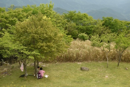 茶臼山の芝桜を見に行ってきました♪_a0284626_23564130.jpg