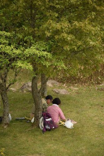 茶臼山の芝桜を見に行ってきました♪_a0284626_23564187.jpg