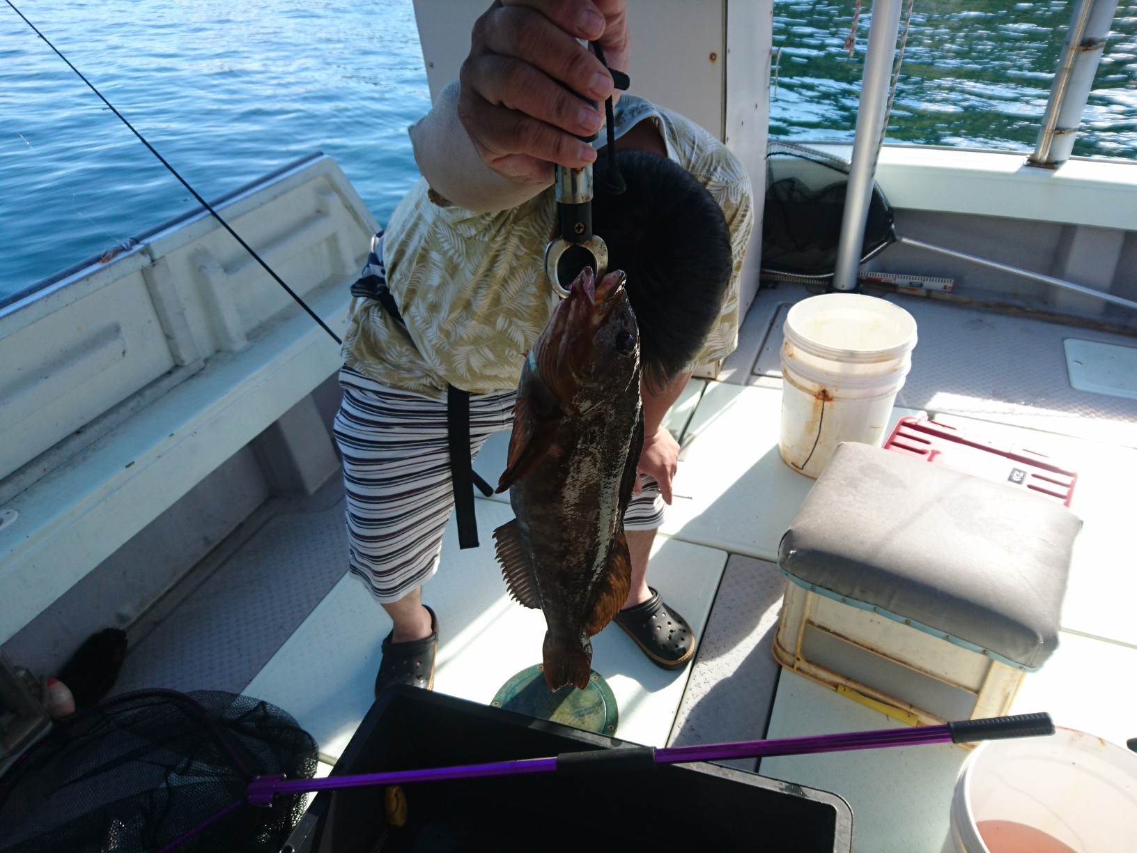 6月12日 タイラバ 夜釣りメバル 黒潮丸 広島 遊魚船 釣り船 お問い合わせ 090 6411 8882 6月12日 タイラバ 夜釣りメバル 黒潮丸 広島 遊魚船 釣り船 お問い合わせ 090 6411 8882