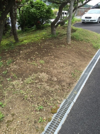 異変 更新版_f0076731_15493611.jpeg