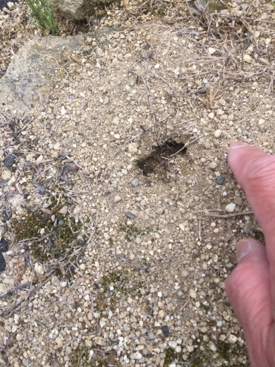 異変 更新版_f0076731_15503244.jpeg