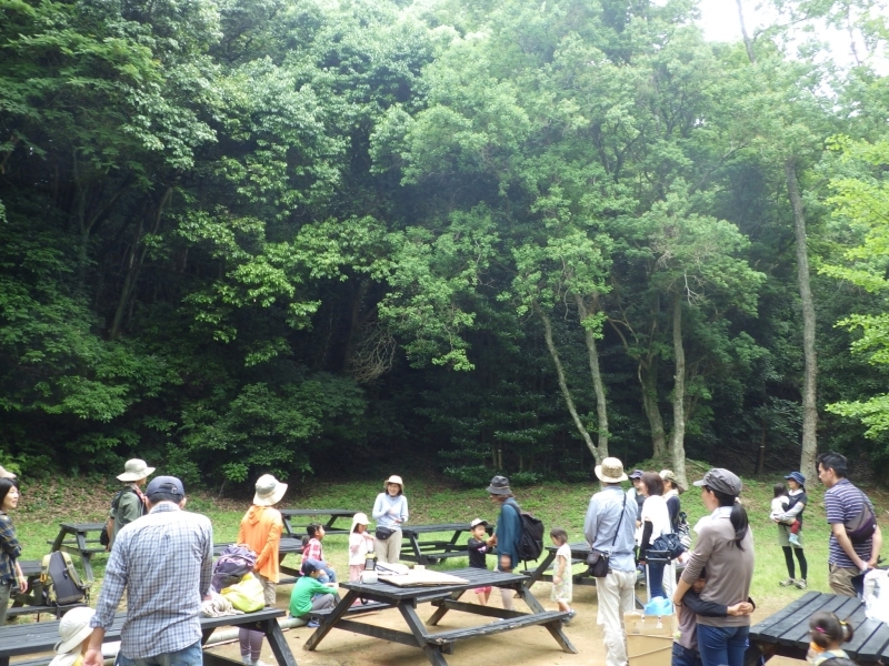 6 月10日 森の中で秘密基地 : 森のようちえん-太宰府 ～ブランコ～