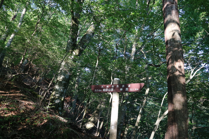 e0272335_19402.jpg