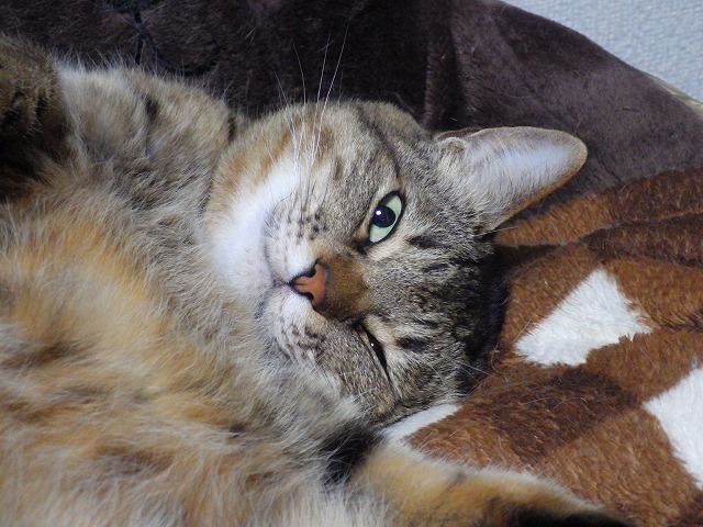 a0337237_13074872.jpg