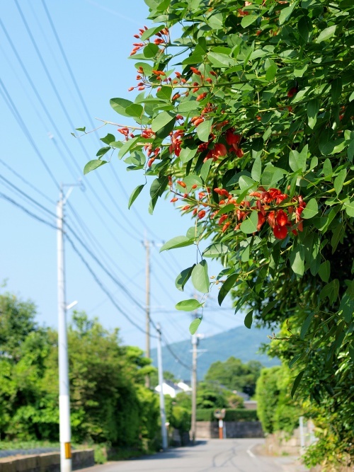 c0281841_01101116.jpg
