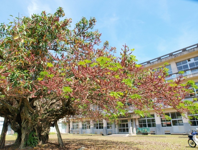 c0281841_14420339.jpg