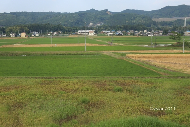 那須烏山 烏山城温泉 ~癖のない天然温泉~_e0227942_22041847.jpg
