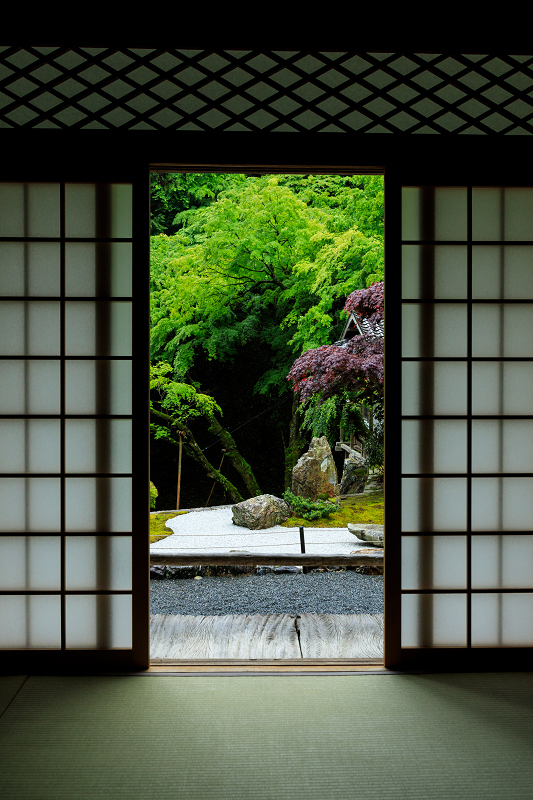 九輪草咲く雨の古知谷阿弥陀寺_f0155048_12262015.jpg