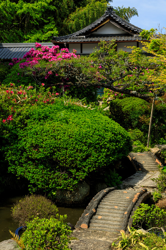 牡丹とツツジの千佛院（當麻寺塔頭）_f0155048_23231477.jpg