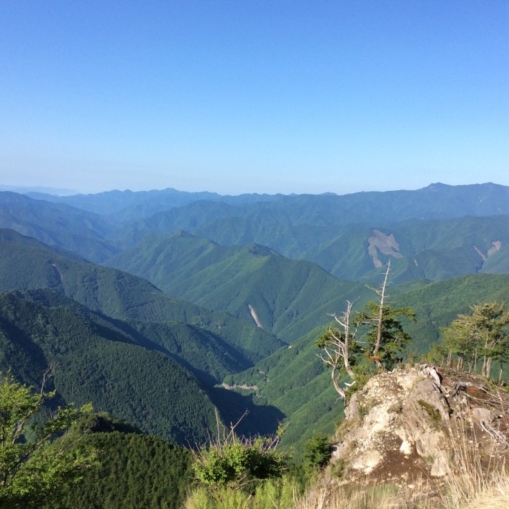 d0102949_12384998.jpeg