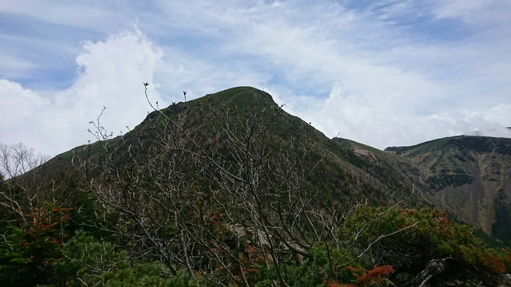 b0148050_08040017.jpg