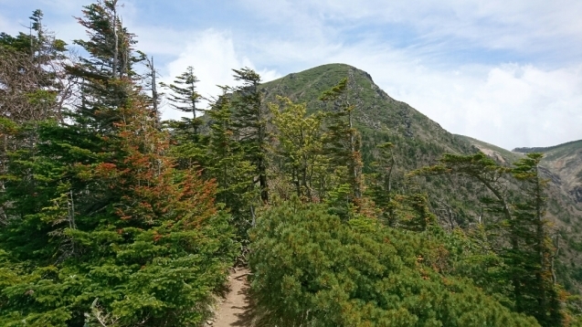 b0148050_08040427.jpg