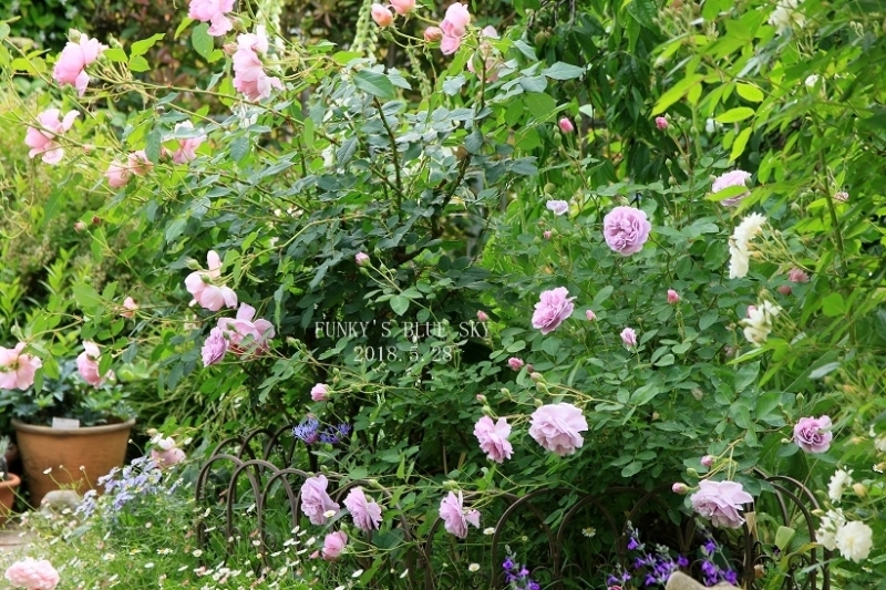 c0145250_12132985.jpg