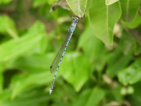 e0172950_2114059.jpg
