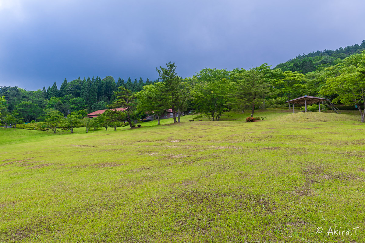 f0152550_21582383.jpg