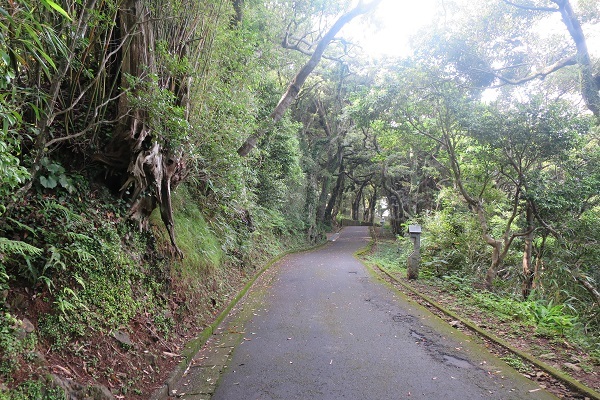 二四番札所　最御崎寺（ほつみさきじ）_f0202151_21585173.jpg