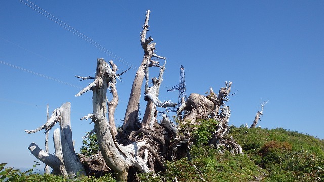 c0097754_10464851.jpg