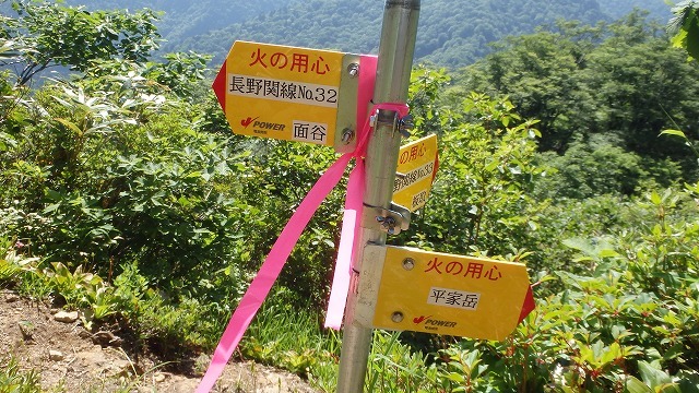 c0097754_11064563.jpg
