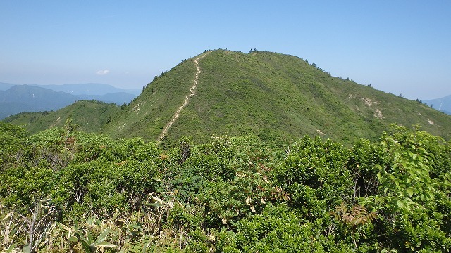 【両白／平家岳】W平家のこの”格差”はなんなのだ(@_@。_c0097754_11093001.jpg