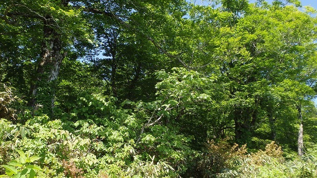 c0097754_15570180.jpg