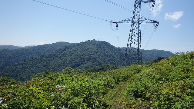 c0097754_15570587.jpg