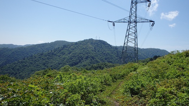 【両白／平家岳】W平家のこの”格差”はなんなのだ(@_@。_c0097754_15570587.jpg