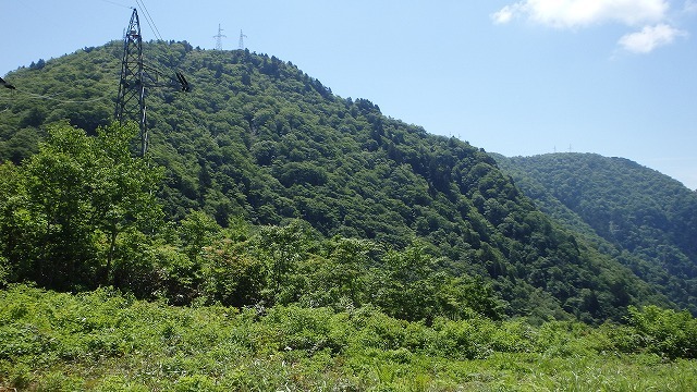 【両白／平家岳】W平家のこの”格差”はなんなのだ(@_@。_c0097754_16093072.jpg