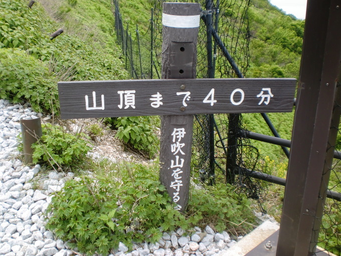 d0154954_09313653.jpg