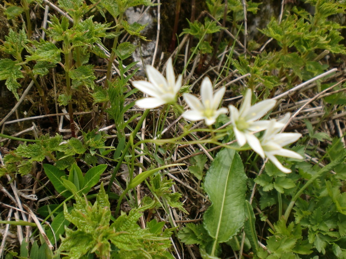 d0154954_09334888.jpg