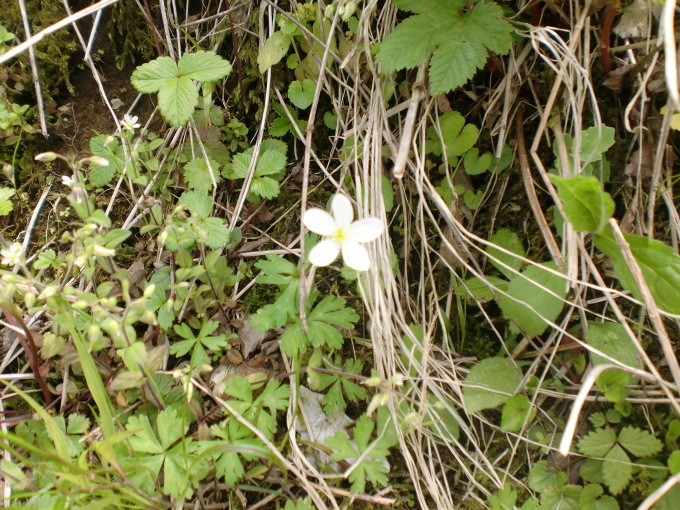 d0154954_09354983.jpg