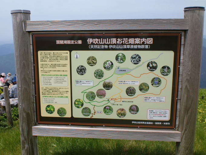 d0154954_09373957.jpg