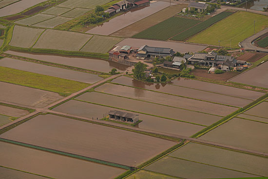 b0016557_919516.jpg