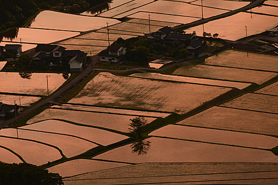 b0016557_9201012.jpg