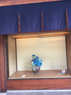 紫陽花 色々_f0363168_21245578.png