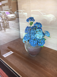 紫陽花 色々_f0363168_21250539.png