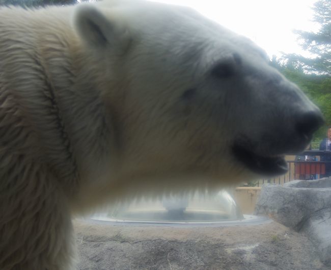 b0014576_20153906.jpg