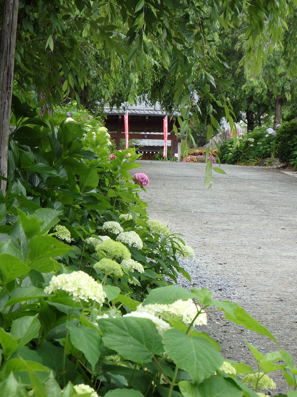 d0054276_20431014.jpg