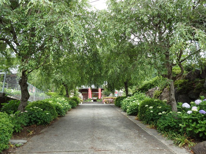 d0054276_20431991.jpg