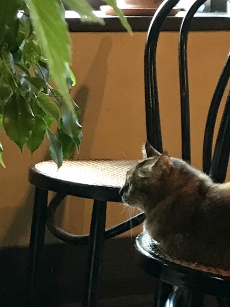 d0125776_15265152.jpeg