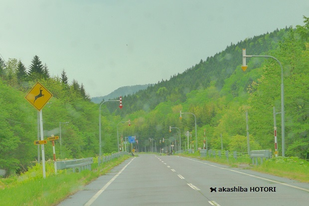 f0150377_13044443.jpg