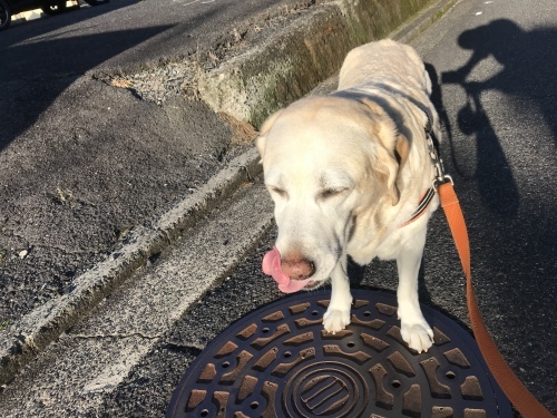 f0315081_21430222.jpeg