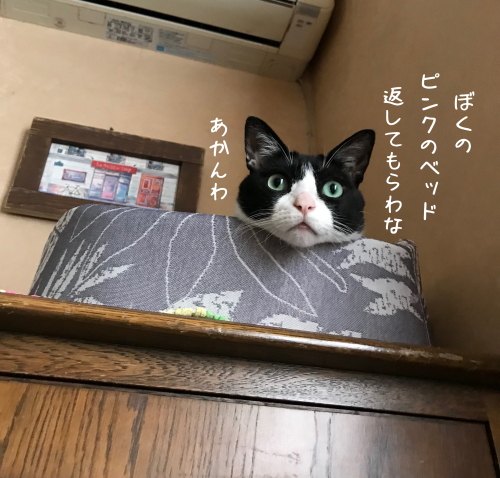 a0216583_11103289.png