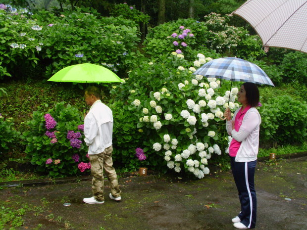 b0302085_14044306.jpg
