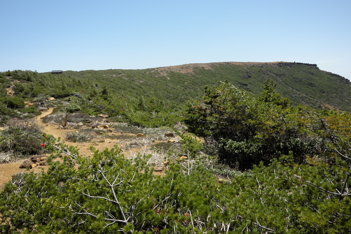 b0339488_21373946.jpg